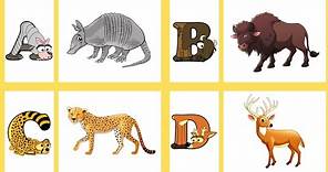 | Animal Alphabet A To Z | Zoo Animals For Kids | ABC | A To Z Alphabetimals | Kids Learning | ABC |