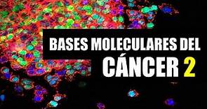 Qué es el cáncer y cómo se desarrolla (2) - Virus oncogénicos, Carcinogénesis y Hallmarks