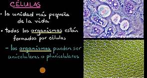 Células y organismos