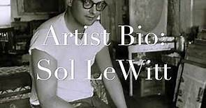 Sol LeWitt Bio Spanish