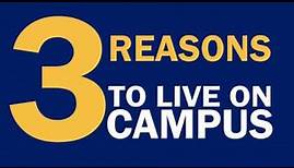 3 Reason to Live On Campus | Webster University