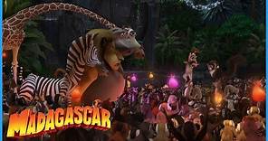 DreamWorks Madagascar | Meet King Julien | Madagascar Movie Clip