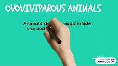 Oviparous, viviparous and ovoviviparous animals