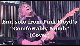Pink Floyd - Comfortably Numb End Solo by Godfrey Townsend