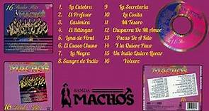 16 realest hits-Banda Machos