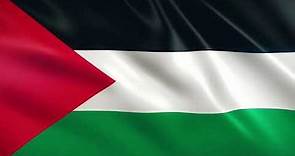 State of Palestine Flag Waving | Palestinians Flag Waving | State of Palestine Flag Screen