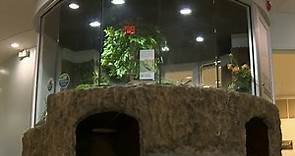 Belle Isle Nature Center reopens with new exhibits, renovated space