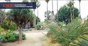 Fullerton Arboretum: The Hidden Jewel of Cal State Fullerton