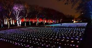 Chicago Botanic Garden's Lightscape