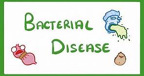 GCSE Biology - What Are Bacterial Diseases? - Treatment and Prevention #37