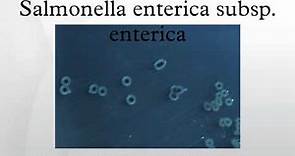 Salmonella enterica subsp. enterica