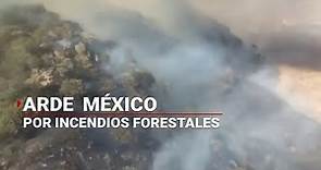 Arde México | Ola de CALOR provoca más de 900 INCENDIOS forestales