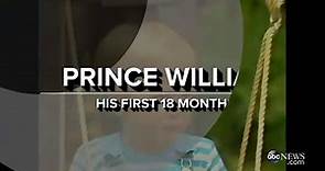 Prince William's first 18 months