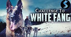 Challenge To White Fang | Full Adventure Movie | Franco Nero | Virna Lisi | John Steiner