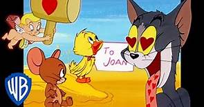 Tom y Jerry en Latino | El amor se siente en el aire | WB Kids