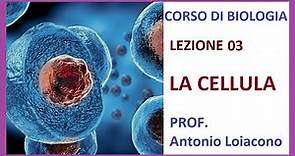 CORSO DI BIOLOGIA - Lezione 03 - La Cellula