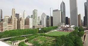 Louis Sullivan: A New Architecture for Chicago