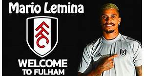 Mario Lemina - Welcome to Fulham (Goals, Assists, Tackles & Skills)