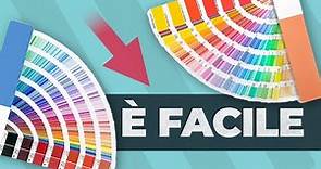 Come creare palette di colori perfette