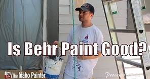 Behr Paint Review. Should you buy this paint?