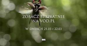 „Królestwo” – najpiękniejszy film przyrodniczy ostatnich lat bez opłat na VOD.pl; zwiastun pl