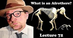 Lecture 72 What is an Afrothere?