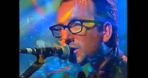 The Other End of the Telescope - Elvis Costello
