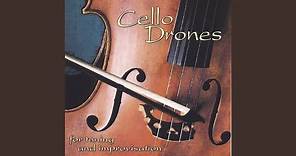 Cello Drone D
