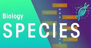 What Is A Species? | Evolution | Biology | FuseSchool