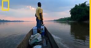 60 segundos de VIDA, alrededor del Río Congo. | National Geographic en Español