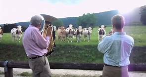 “Jazz For Cows” by newhot5 2012