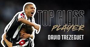 David Trezeguet 17 Legendary Goals Impossible To Forget | Juventus