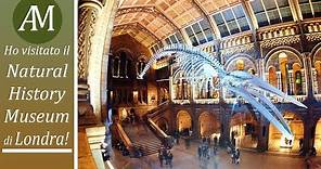 Visita al Natural History Museum di Londra