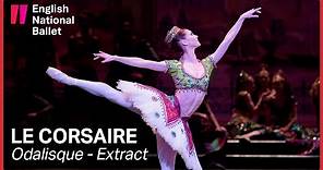 Le Corsaire: Odalisque with Alison McWhinney (extract) | English National Ballet