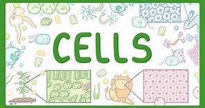 GCSE Biology - Cell Types and Cell Structure #2