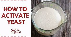 How to activate dry yeast (Be sure it's alive!)