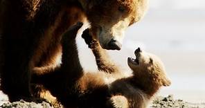 Bears Trailer 2014 Disney Movie - Official [HD]