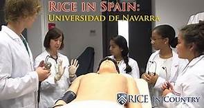 Rice in Spain - Universidad de Navarra (Spain)