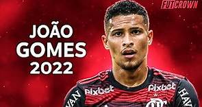 João Gomes 2022 ● Flamengo ► Dribles, Gols & Assistências | HD