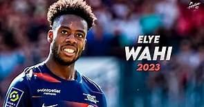 Elye Wahi 2022/23 ► Amazing Skills, Assists & Goals - Montpellier | HD