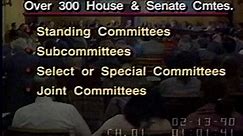 User Clip: Summary of Congressional Committees