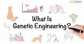 Genetic Engineering in 6 minutes | What Is Genetic Engineering? | Genetics | Simplilearn
