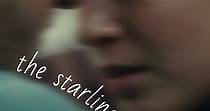 The Starling Girl - película: Ver online en español