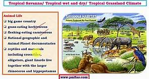 Savanna Climate (Tropical Wet Dry Climate) - PMF IAS