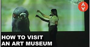 How to Visit an Art Museum | The Art Assignment | PBS Digital Studios
