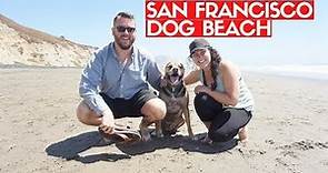 SAN FRANCISCO DOG BEACH | Fort Funston