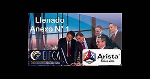 Llenado Anexo 1 - Youtube