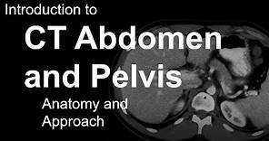 Introduction to CT Abdomen and Pelvis: Anatomy and Approach