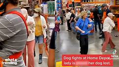 Dog Fight in Home Depot Causes Outrage