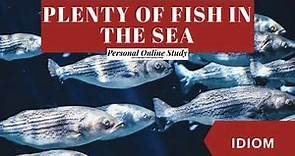 Plenty of fish in the sea meaning | Learn English Idioms and Phrases